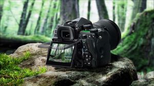 Canon EOS 80D Body