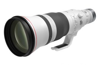 Canon RF 600mm f/4 L IS USM