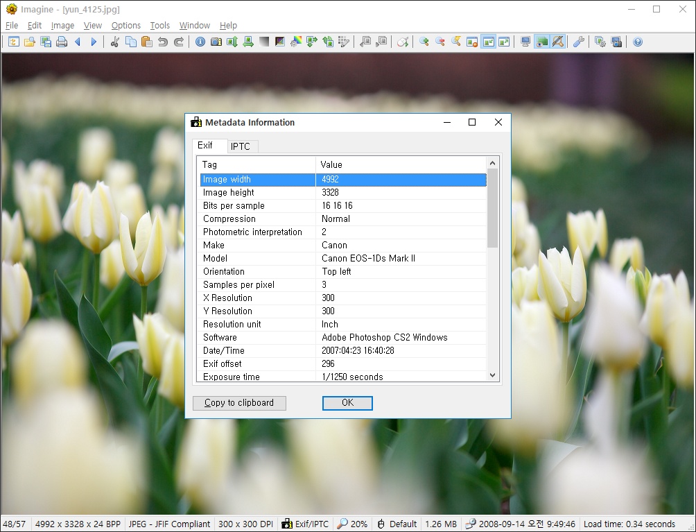 Окно Metadata Information в Imagine с таблицей тегов Exif и IPTC