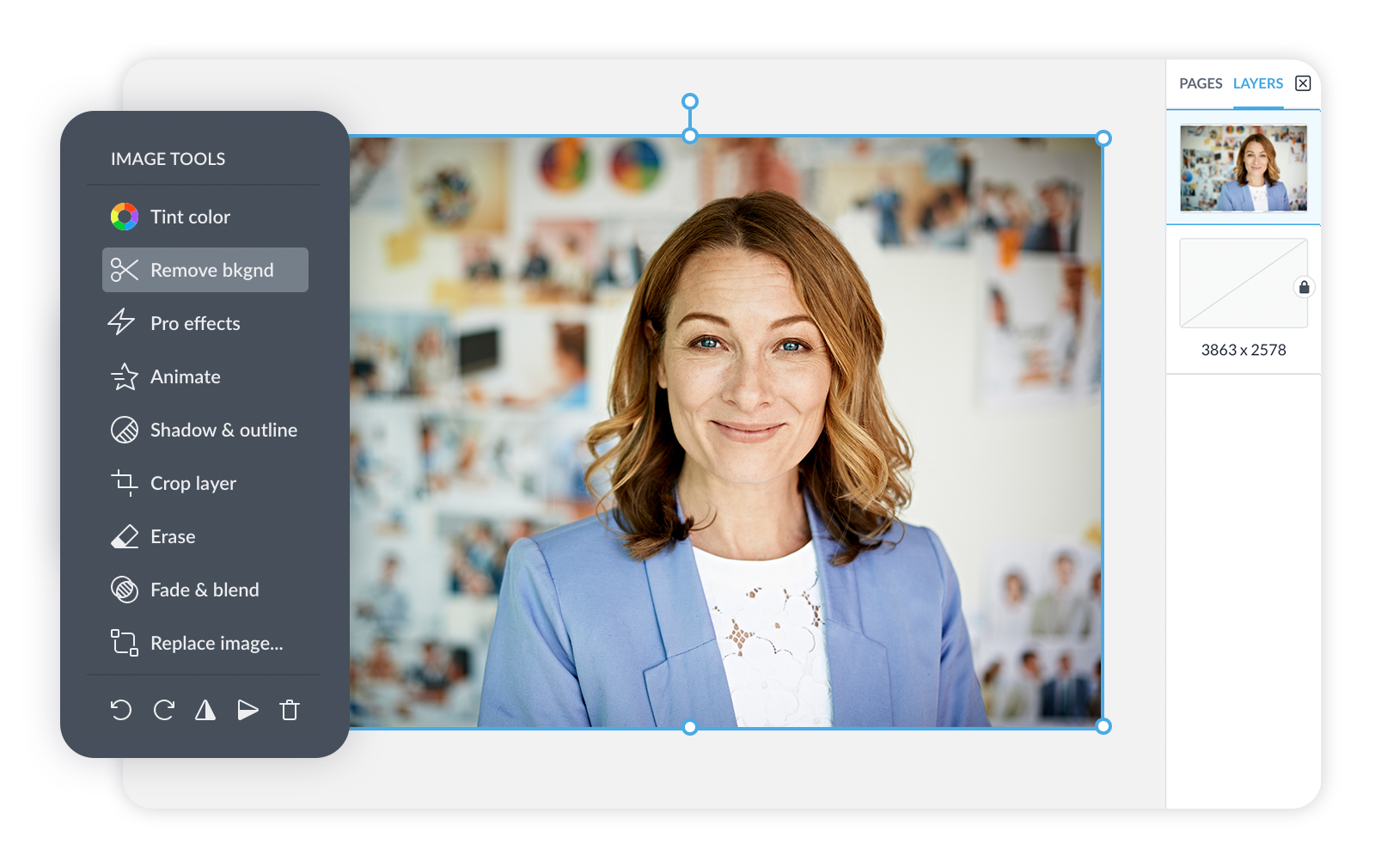 Инструмент Remove bkgnd в PicMonkey перед удалением фона