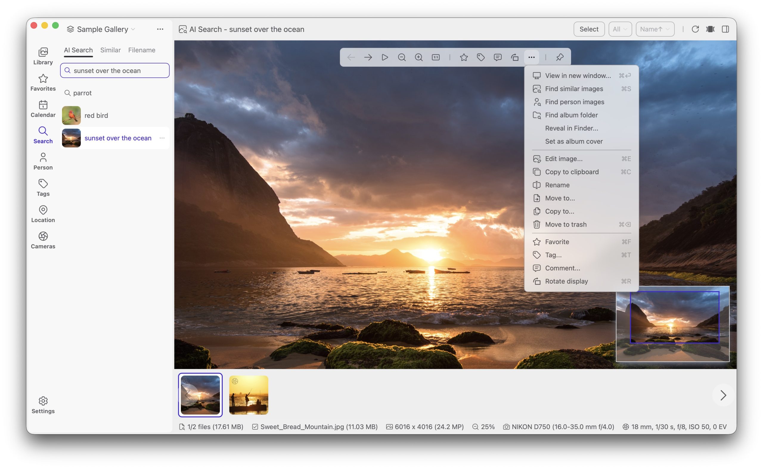 Локальный ИИ-поиск в Lap Photo Manager по текстовому описанию снимка