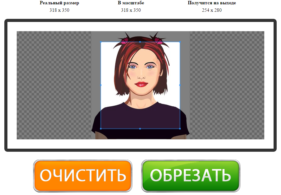 Рабочая область cut-photo.ru с фотографией и прямоугольной рамкой кадрирования