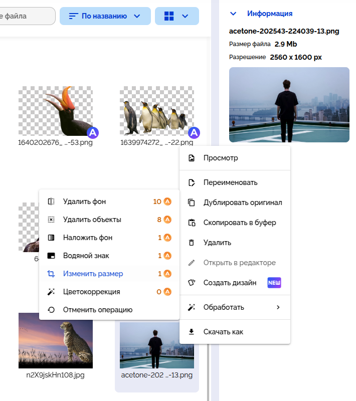 Контекстное меню изображения и сведения о разрешении в ACETONE.AI