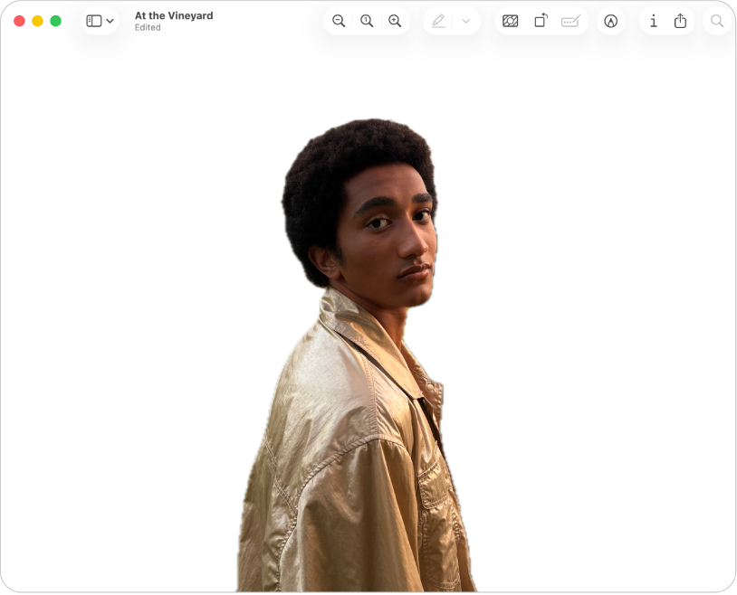 Изображение с удалённым фоном в Preview на Mac