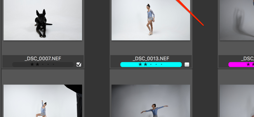 Photo Mechanic Plus