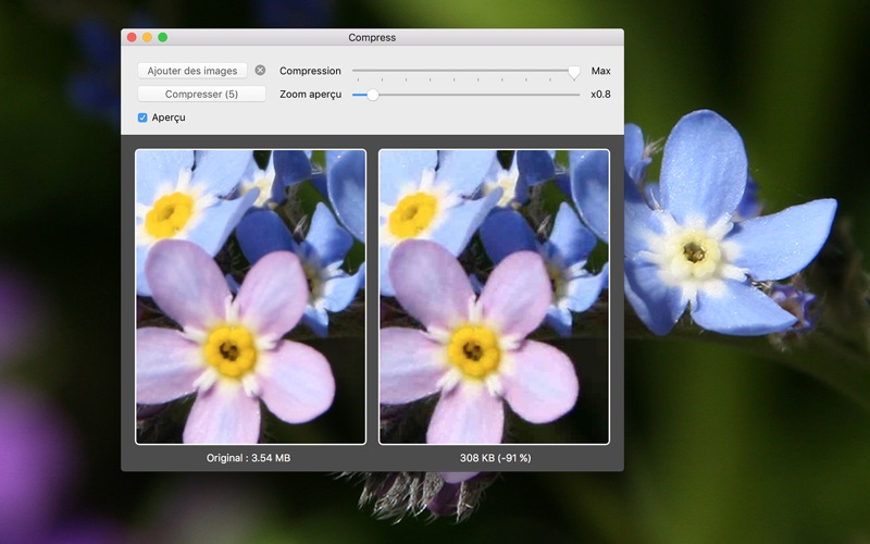 Локализованное окно Compress с цветочной фотографией и сравнением размера до и после
