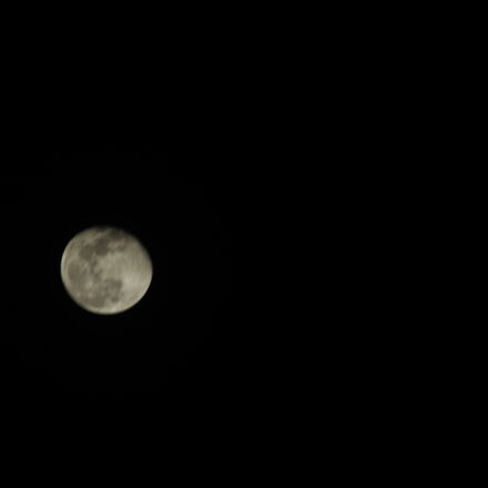 Фотография сделана на canon eos 1300d Фотография сделана на canon eos 1300d