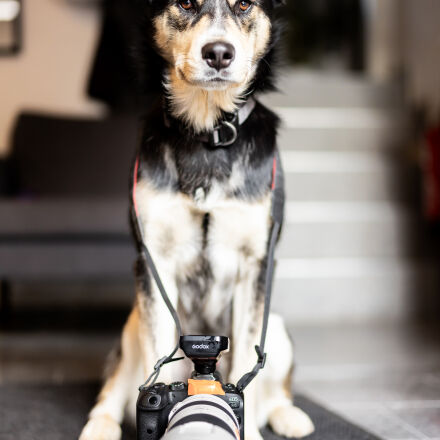 Фотография сделана на canon eos r3