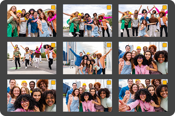 Сетка отобранных фотографий в системе управления ACDSee Photo Studio 2026