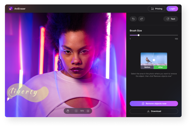 Рабочая зона AniEraser для удаления объекта с фотографии кистью