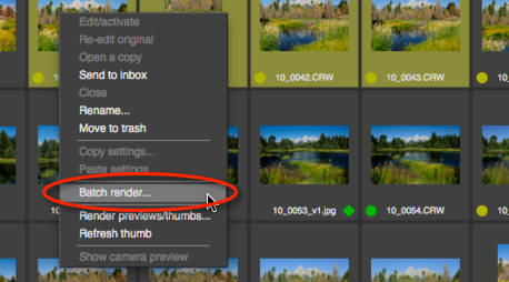 Команда Batch render в контекстном меню Photo Ninja