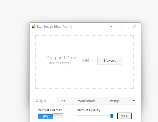 Официальный скриншот Bzzt Image Editor Pro 1.3 с вкладками Output, Edit, Watermark и Settings