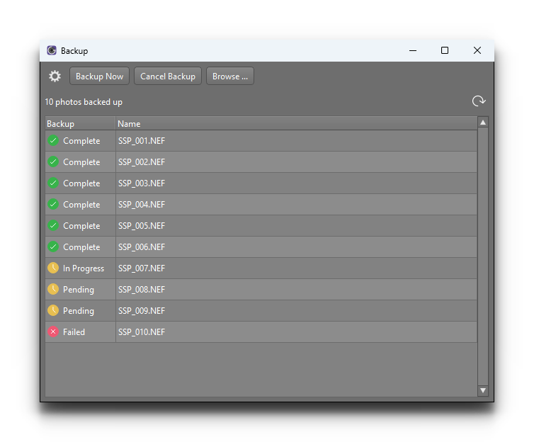 Окно Backup CaptureGRID 6 со статусами резервного копирования