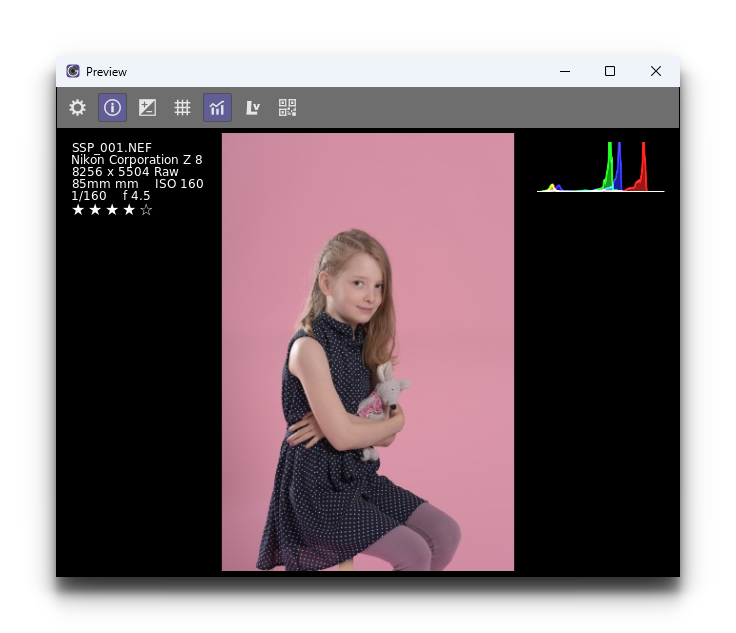 Окно Preview CaptureGRID 6 с гистограммой, параметрами и рейтингом