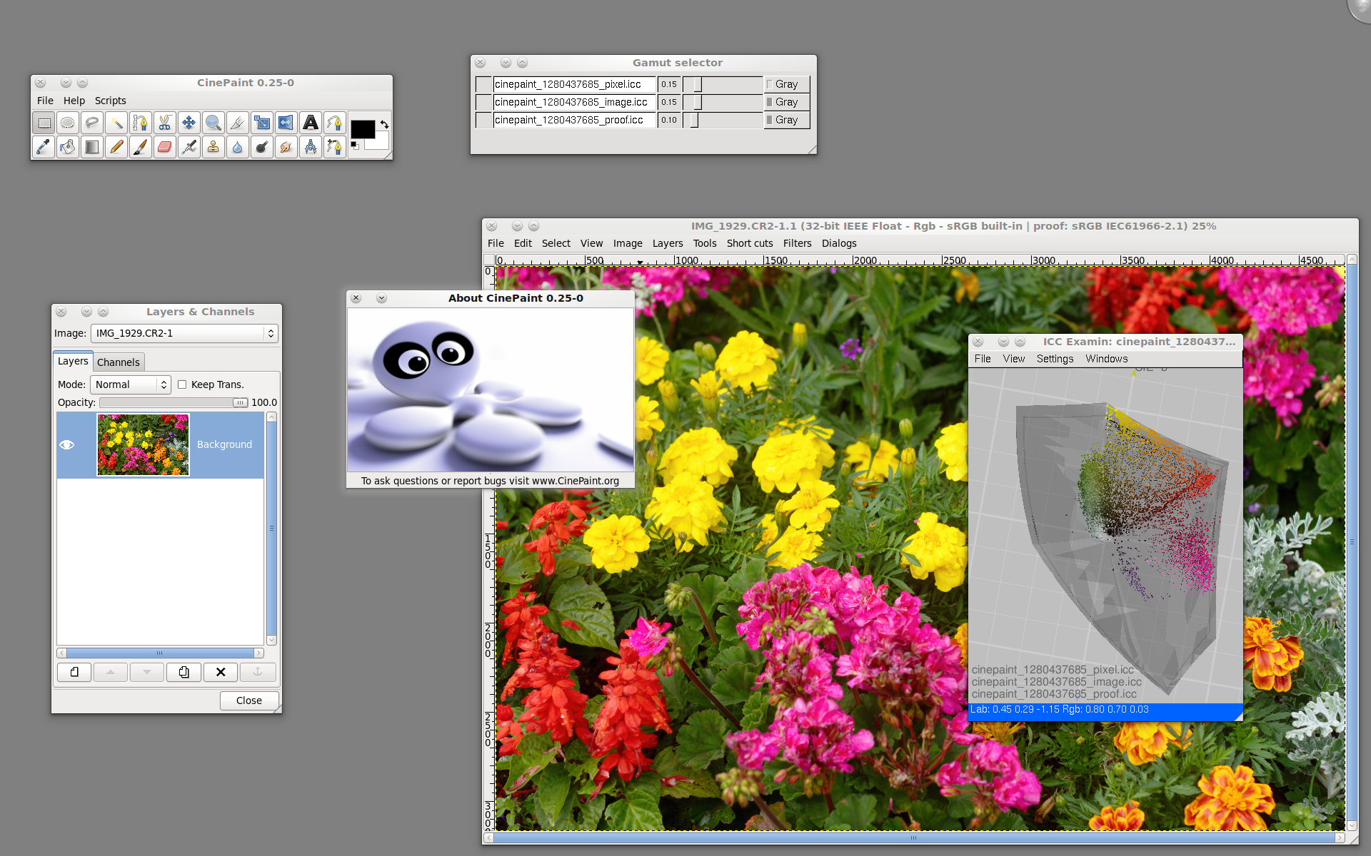 Исторический интерфейс CinePaint 0.25 в Linux с окном изображения, слоями и анализом ICC-профиля