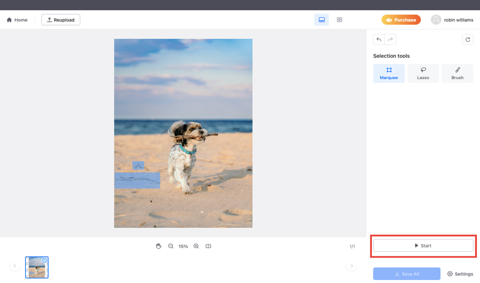 Выделенная область и кнопка Start в PicWish Remove Objects для Mac