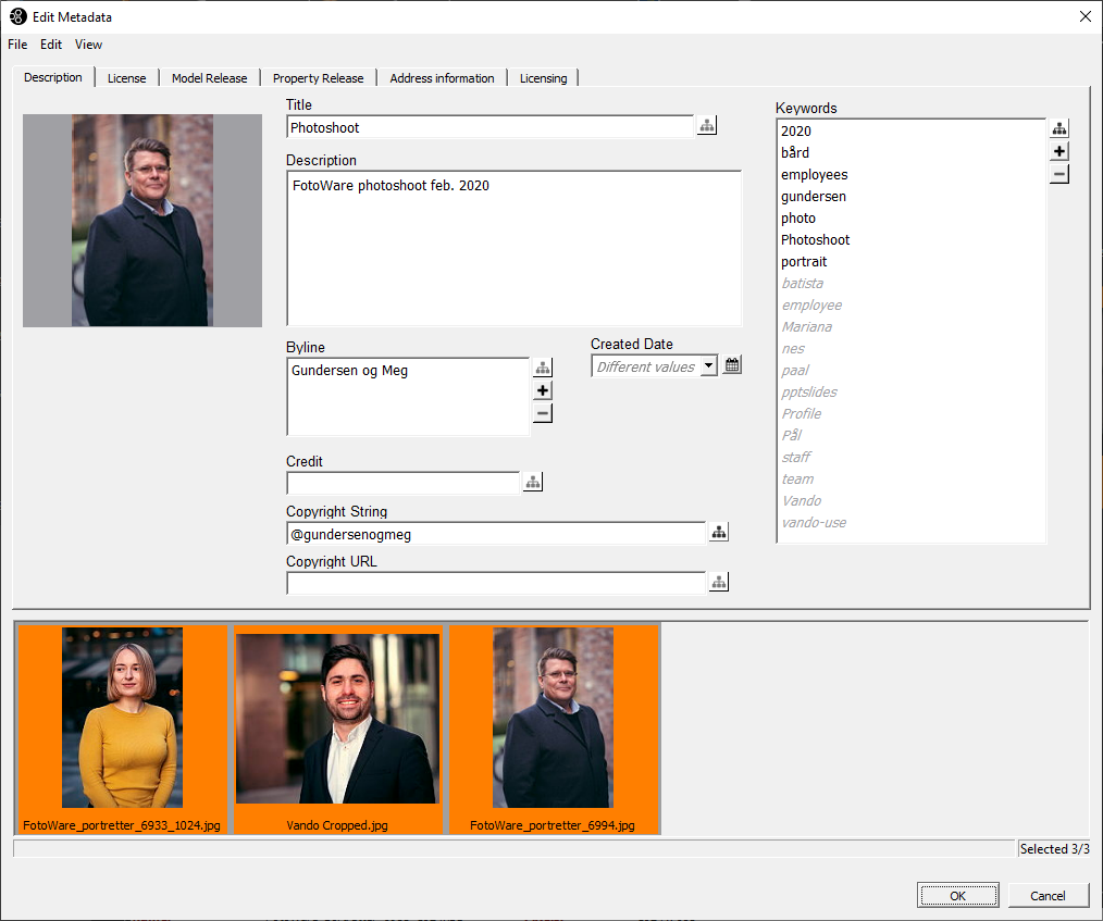 Редактор метаданных Fotostation с плёнкой выбранных изображений