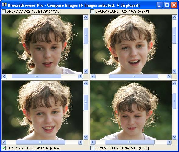 Сравнение четырёх фотографий в BreezeBrowser Pro