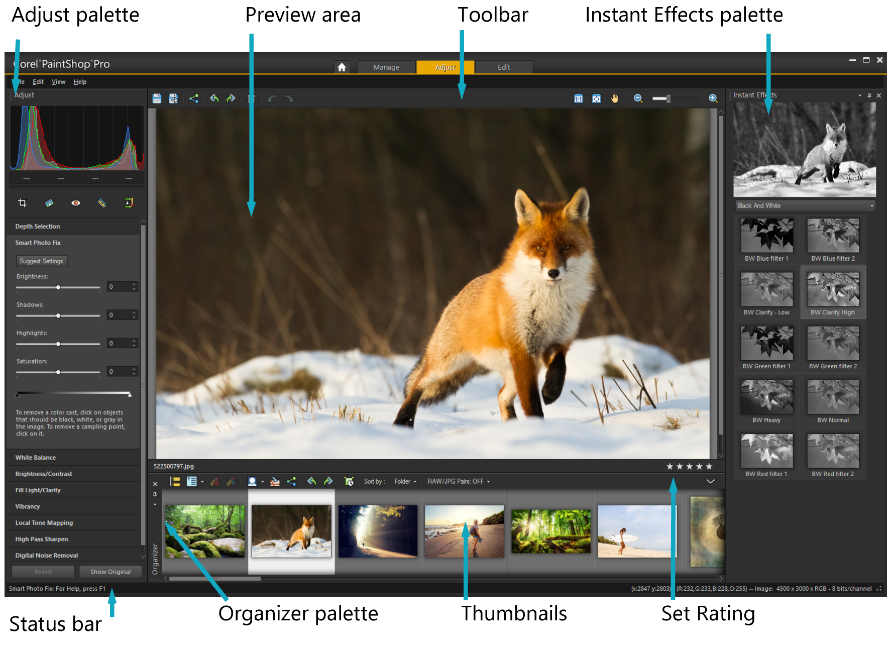 Вкладка Adjust в PaintShop Pro с гистограммой, параметрами коррекции и палитрой Instant Effects