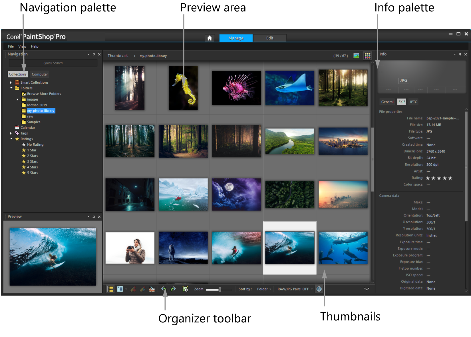 Интерфейс Manage в PaintShop Pro с навигацией, миниатюрами и панелью метаданных