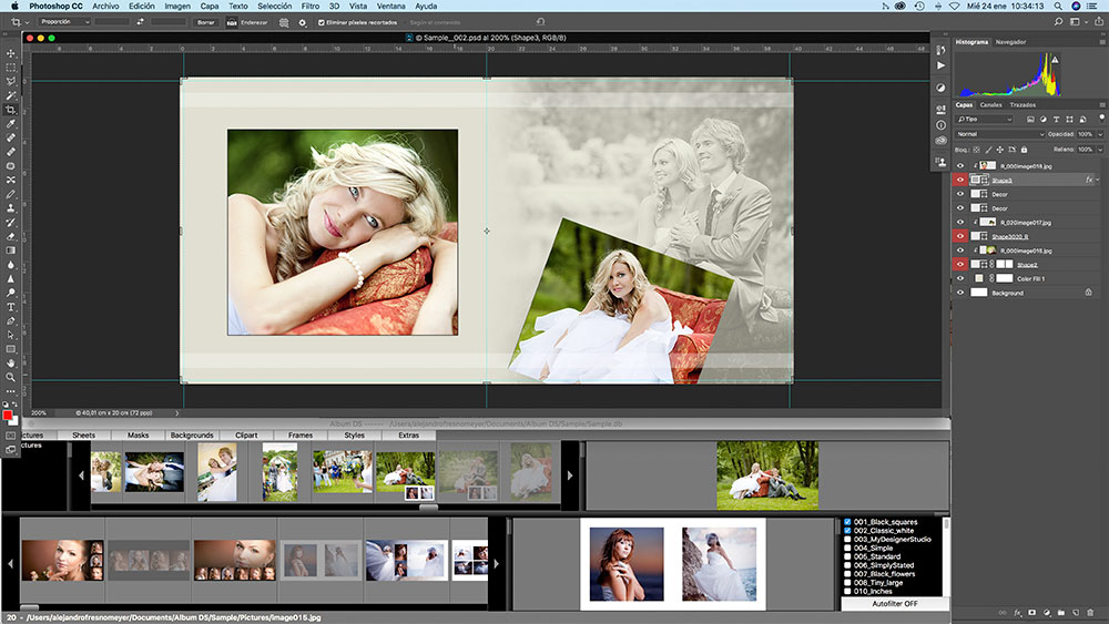 Окно Album DS рядом с рабочей областью Adobe Photoshop