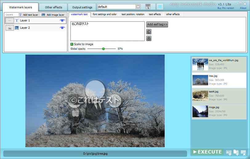 Рабочее окно Easy Watermark Studio Lite с двумя слоями и списком фотографий