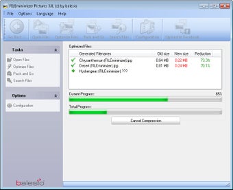 Процесс пакетного сжатия в FILEminimizer Pictures