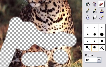 Работа ластика PhotoFiltre Studio по Alpha-прозрачности