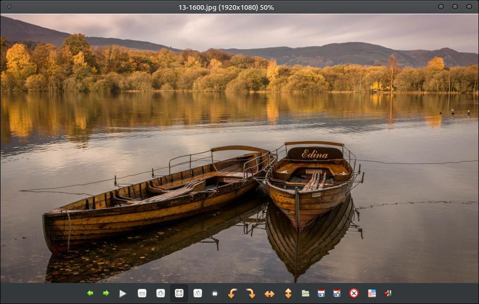Главное окно GPicView с фотографией, строкой размера и нижней панелью кнопок