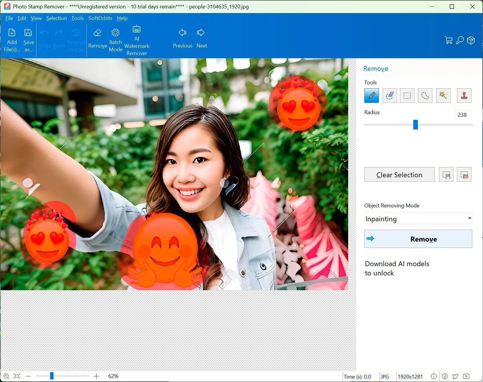 Photo Stamp Remover с загруженной фотографией и правой панелью Remove