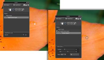 Пример слоя Heal для локальной ретуши в AfterShot Pro