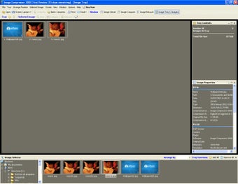 Режим просмотра коллекции в Image Compressor 2008 с миниатюрами, свойствами изображения и нижним лотком