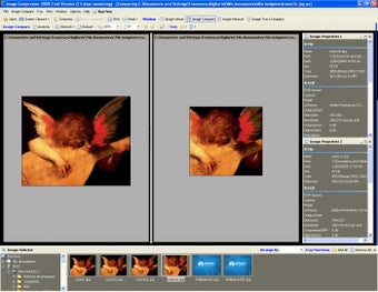 Режим Image Compare в Image Compressor 2008 с исходным и уменьшенным изображением рядом