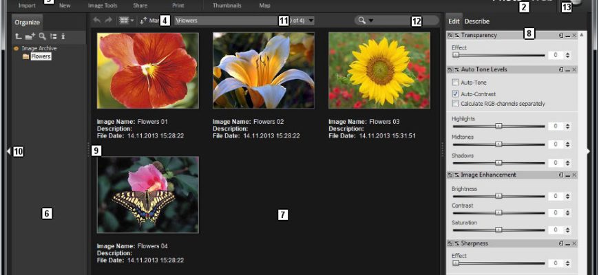 StudioLine Photo Basic Metadata Tools