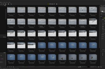 OM Workspace