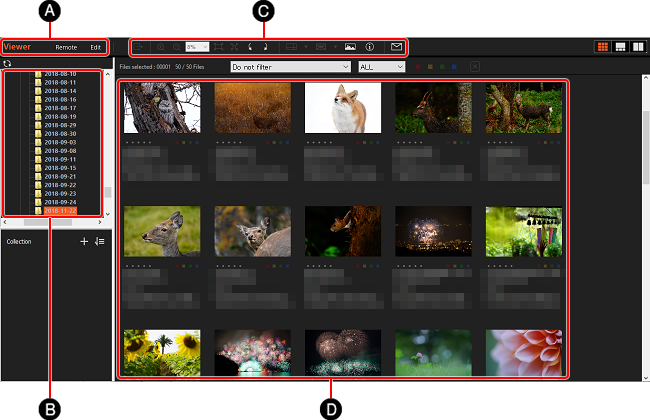 Окно Viewer в Imaging Edge Desktop с папками, панелью инструментов и сеткой миниатюр