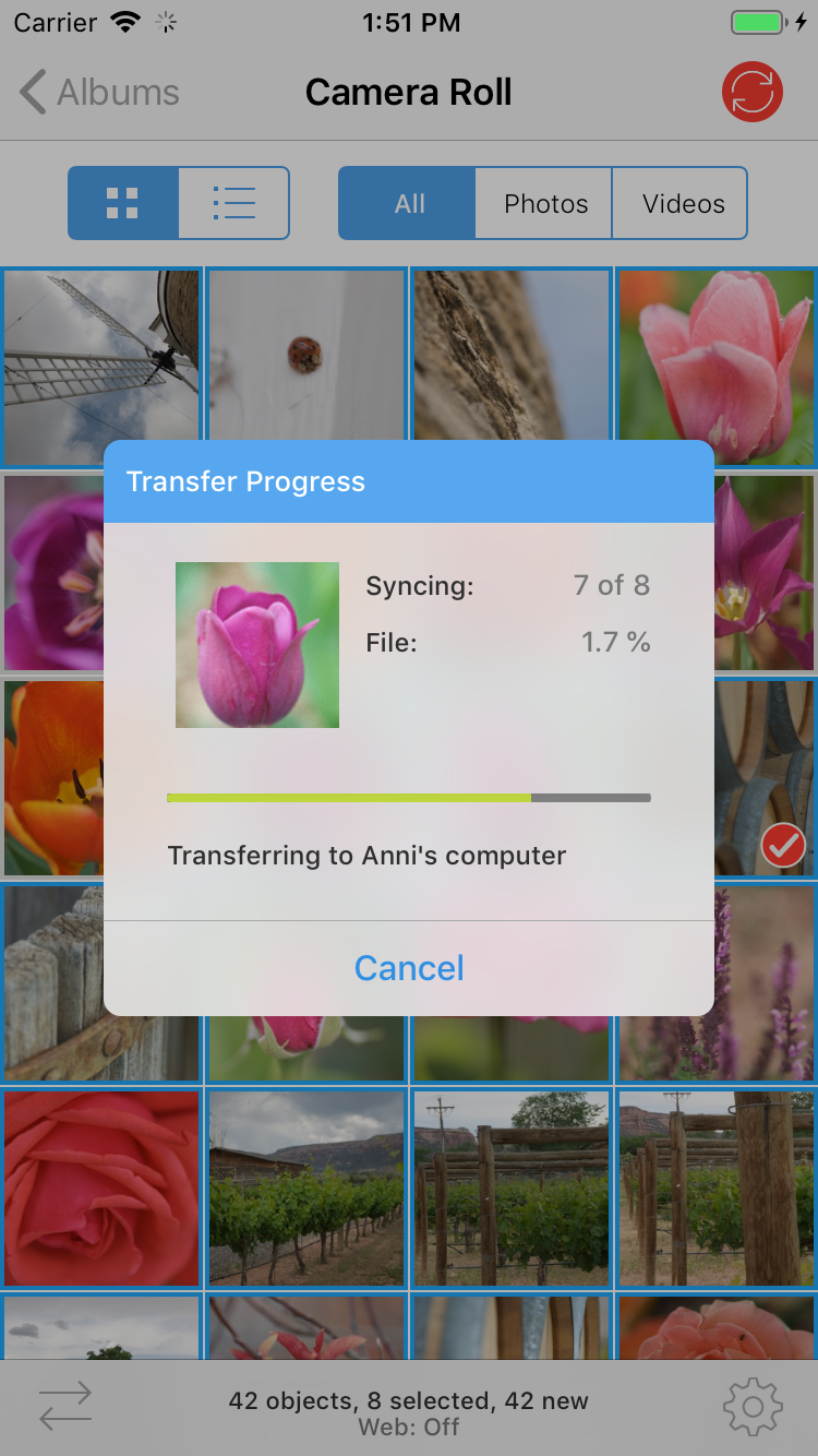Окно Transfer Progress в PhotoSync во время копирования фотографий