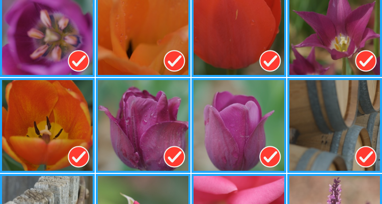 PhotoSync