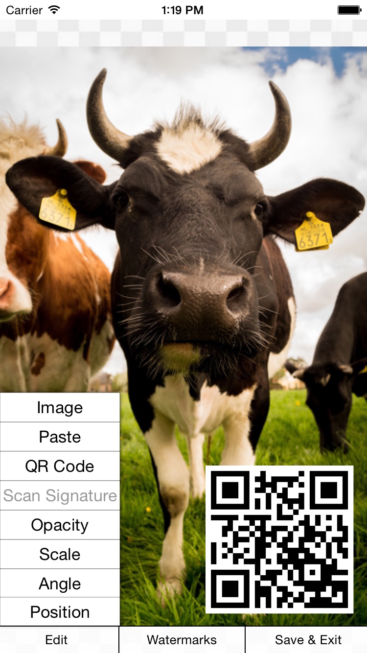 QR-код как водяной знак в приложении iWatermark