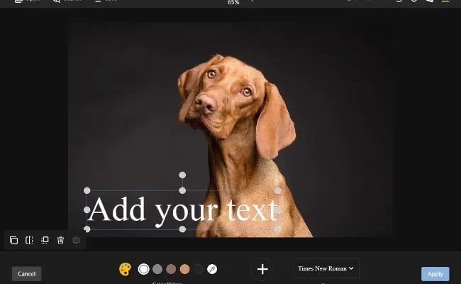 PhotoKit.com