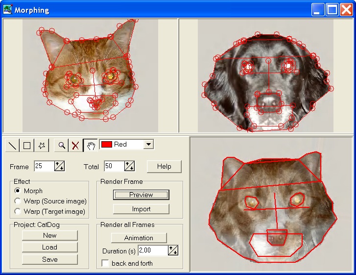Модуль Morphing в PicMaster с контрольными точками на двух изображениях