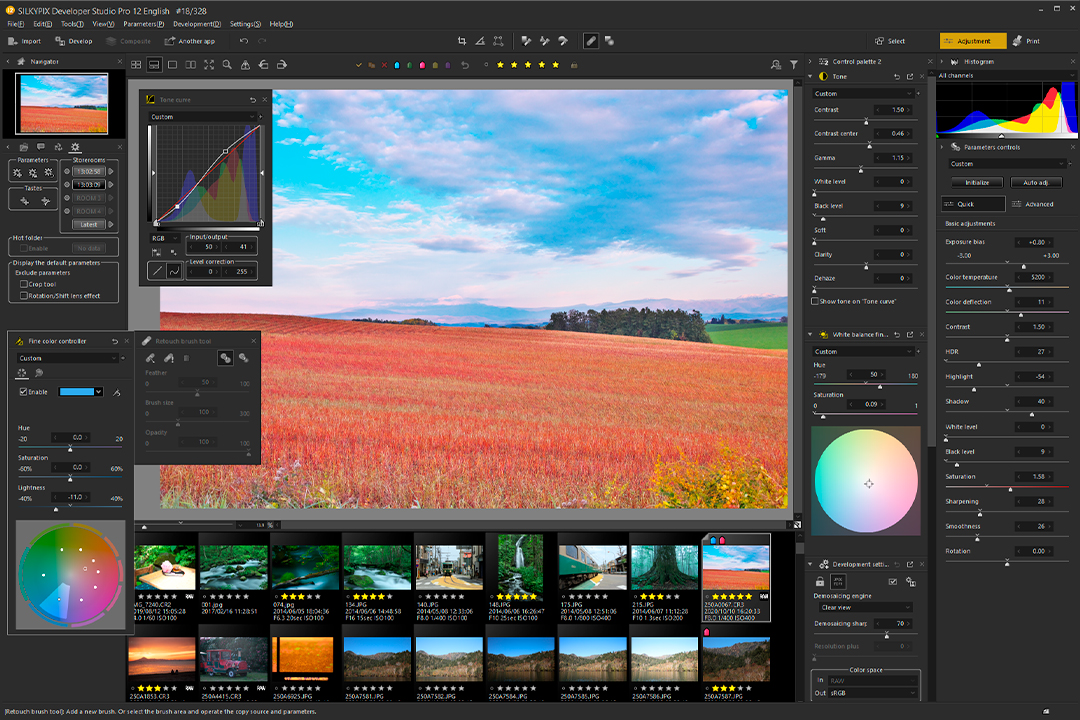 Настраиваемый интерфейс SILKYPIX Developer Studio Pro12 с плавающими панелями тоновой кривой и локальных инструментов