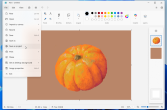 Microsoft Paint