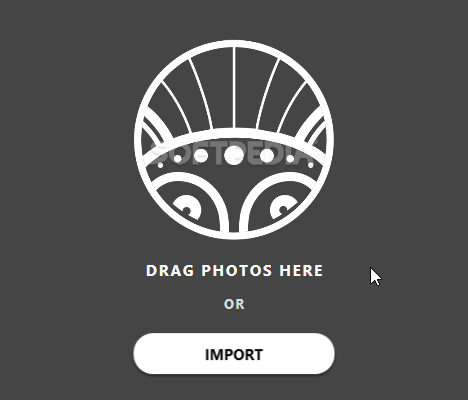 Photolemur