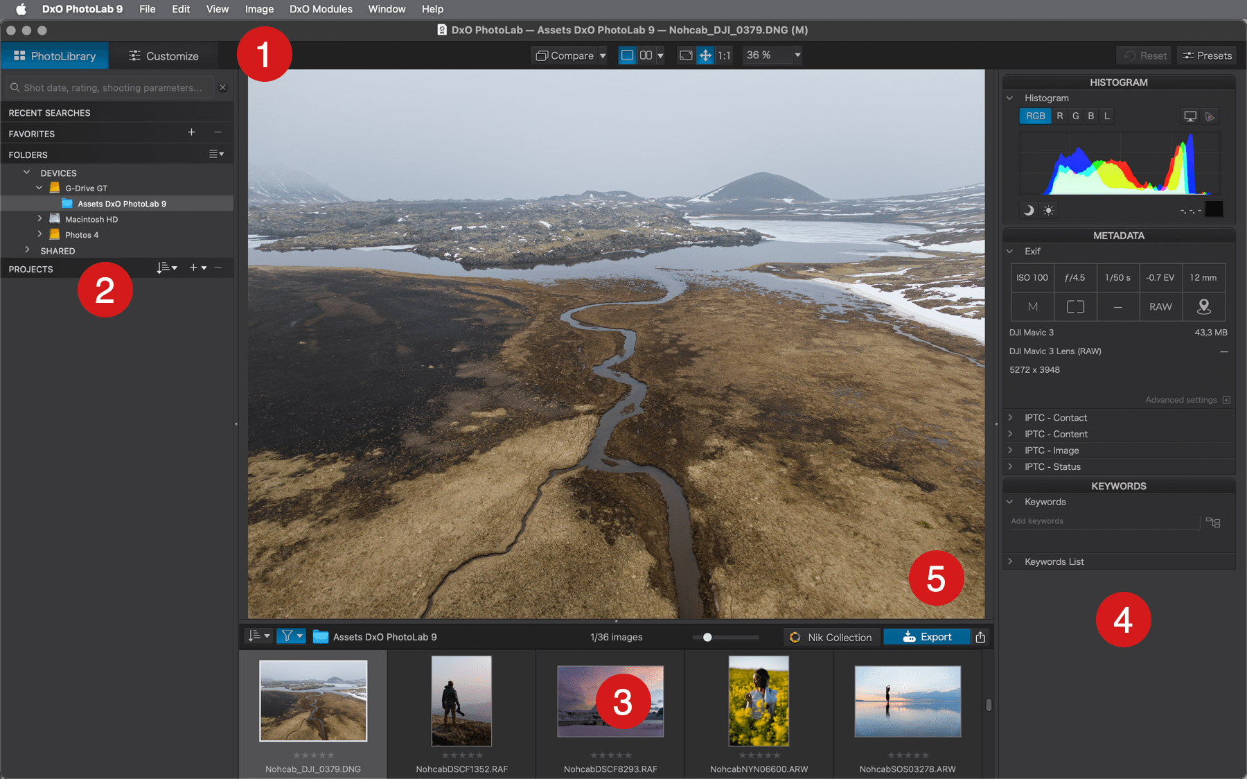 Интерфейс PhotoLibrary в DxO PhotoLab 9 с деревом папок, просмотром кадра и лентой миниатюр