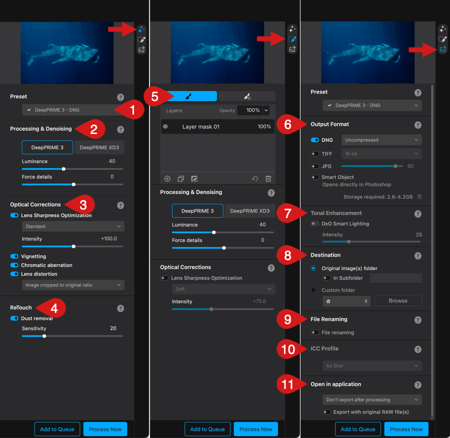 Панели обработки DxO PureRAW 6 с DeepPRIME, оптическими коррекциями, локальными масками и параметрами экспорта