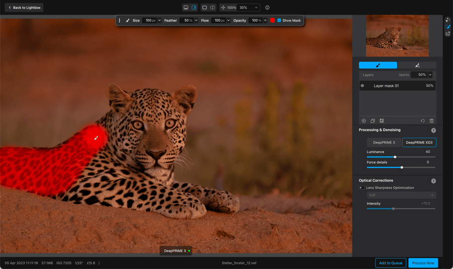 Локальная маска DxO PureRAW 6 на фотографии леопарда с отдельным выбором DeepPRIME XD3