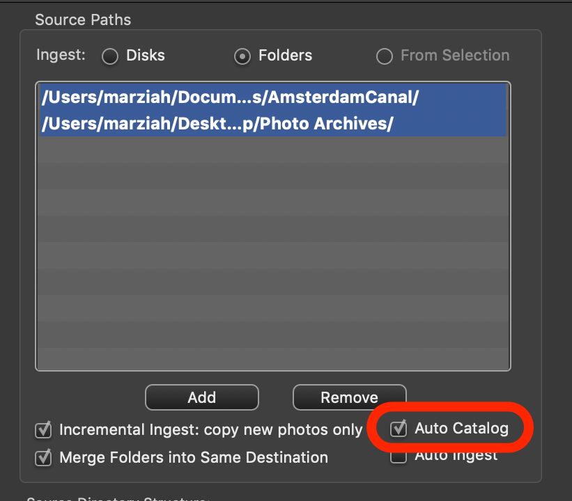 Параметр Auto Catalog в окне Ingest Photo Mechanic Plus