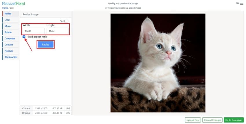 Интерфейс ResizePixel с панелью изменения ширины и высоты изображения и областью предпросмотра