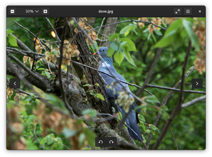 Главное окно Eye of GNOME 50.2 с фотографией, масштабом, стрелками навигации и кнопками поворота